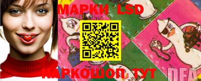 тгк Братск