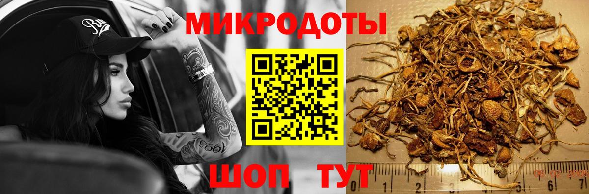 Губкинский  Галлюциногенные грибы мицелий  Вход с VPN 