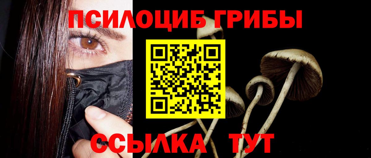 Псилоцибиновые грибы мухоморы Губкинский