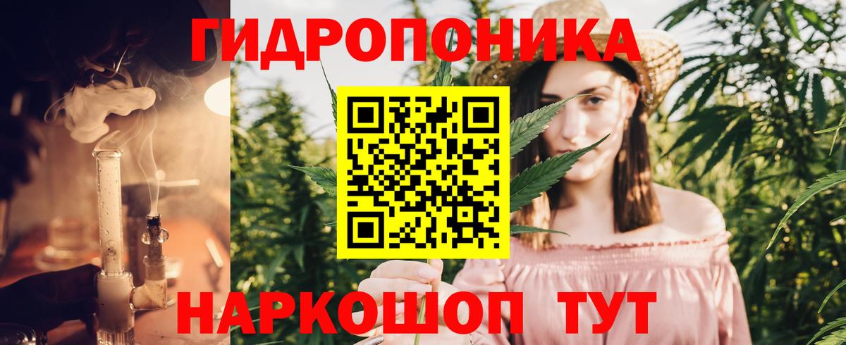 Канабис план Губкинский